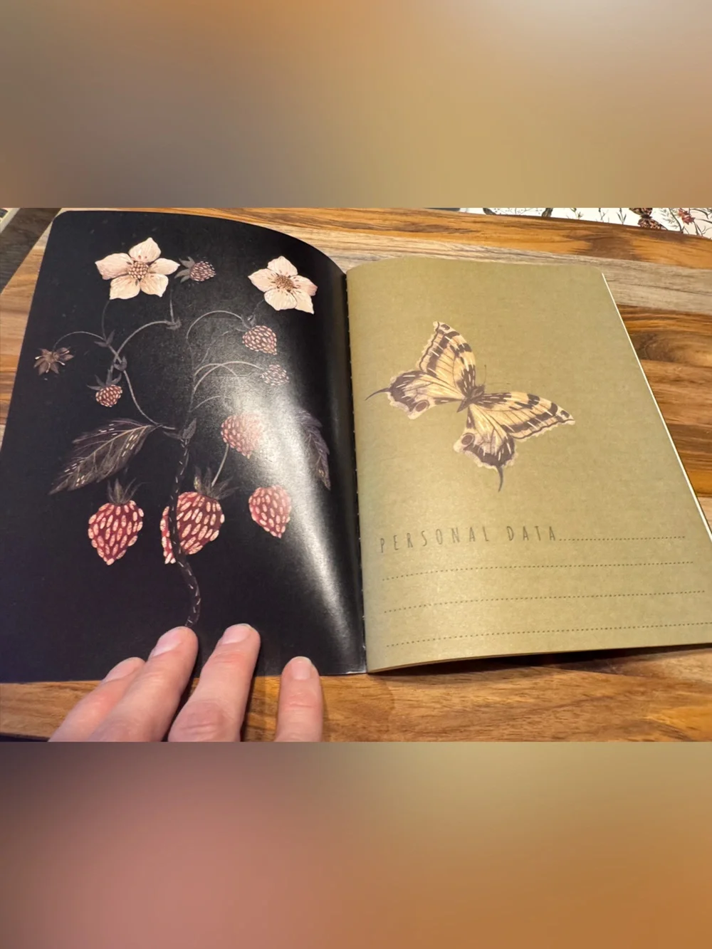2 Pack Gorgeous Soft Touch Journals - BV by Bruno Visconti - Amazing Unique Gift